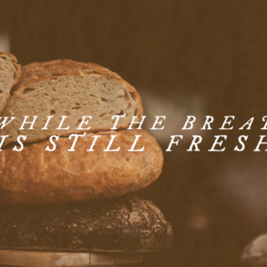 November 10, 2024 – While the Bread is Still Fresh